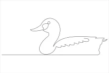 Duck Drawing with One Line: Simple Bird Art for Practice and Creativity