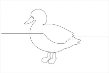 Easy One-Line Duck Drawing: Fun Water Bird Practice for All Skill Levels
