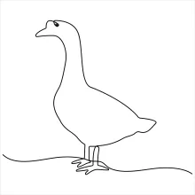 Easy One-Line Duck Drawing: Bird Practice for Beginners and Children