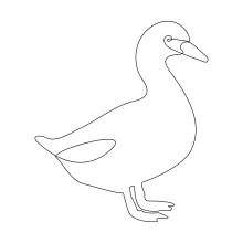 Beginner Duck Drawing with One Line: Easy Bird Art for Everyday Creativity