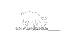 One-Line Goat Drawing: Practice Strong and Simple Animal Shapes