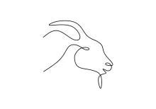 Learn to Draw a Goat Using One Line: Simple Art for Beginners