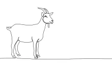 One-Line Goat Art for Practice: Sketch Horned Animals with Ease
