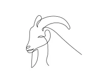 Quick One-Line Goat Drawing: Great for Understanding Animal Proportions
