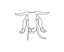 One-Line Goat Drawing: Simple and Fun Way to Sketch Livestock Animals