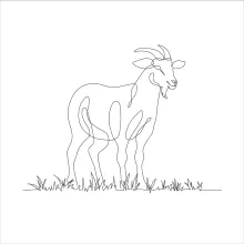 Easy Goat Drawing with One Line: Learn Animal Art through Simple Shapes