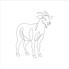 One-Line Goat Art for Beginners: Draw Animals Using Simple Connected Lines