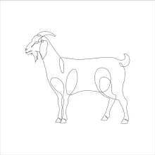 Learn Goat Drawing with One Line: Easy Animal Art for Skill-Building