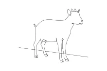 Draw a Goat in One Continuous Line: Practice Animal Form with Confidence