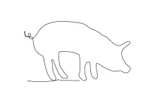 Learn to Draw a Pig in One Line: Quick Animal Art for Fun Practice