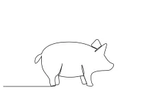 One-Line Pig Drawing for All Ages: Practice Round Animal Shapes Easily