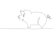 Easy One-Line Pig Drawing: Farm Animal Art for Beginner Sketching Practice