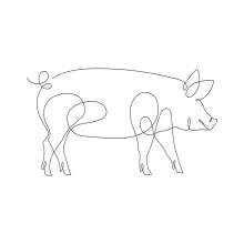 One-Line Pig Drawing for Kids and Beginners: Simple Shapes for Fun Animal Art
