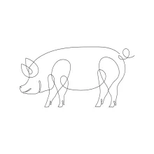 Minimal One-Line Pig Drawing: Learn to Outline Animal Shapes with Simplicity