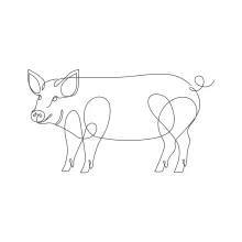 One-Line Pig Drawing Practice: Fun and Simple Animal Art for Everyone