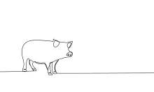 One-Line Pig Drawing for Simple and Fun Art Practice