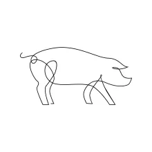 Draw a Pig in One Line: Simple Animal Art Exercise for Beginners