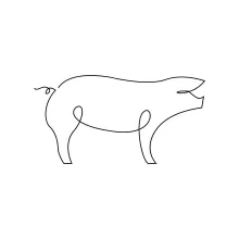 Draw a Pig in One Continuous Line: Quick and Fun Practice for All Skill Levels
