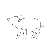 One-Line Pig Drawing Activity: Farm Animal Practice for Sketching Simplicity