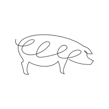 One-Line Pig Drawing Exercise: Draw Farm Animals Using Easy Steps