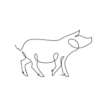 Fun Pig Drawing in One Line: Perfect for Young Learners and Quick Art Sessions
