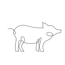 Sketch a Pig in One Line: Simple Drawing for Fun and Artistic Focus