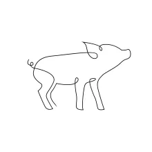 Learn One-Line Pig Drawing: Build Confidence with Easy and Fun Animal Shapes