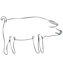 Easy One-Line Pig Drawing: Simple and Fun Animal Art for Beginners