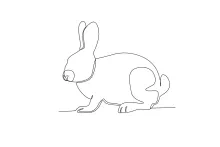 Easy Rabbit Drawing in One Line: Simple and Fun Practice for All Ages