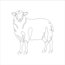 Learn to Draw a Sheep in One Line: Practice Farm Animals the Easy Way