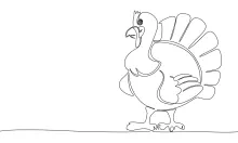 Simple One-Line Turkey Drawing: Explore Bird Shapes with Basic Sketching Tools