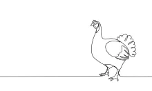 One-Line Turkey Drawing: Practice Drawing Farm Birds with Simple Lines