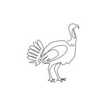 Simple Turkey One-Line Drawing: Create Fun Animal Art with a Single Line