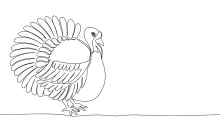 Easy Turkey Drawing in One Line: Fun Art Practice for Animal Enthusiasts