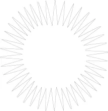Sea urchin line drawing with natural round body and spines