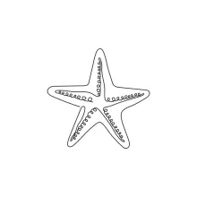 Starfish with five arms drawn using a single line