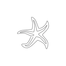 Simple sea star outline from single continuous line