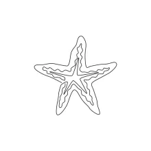 Five-armed sea star drawn with a continuous line