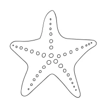 Simple star-shaped sea animal drawn in one line
