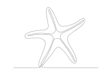 Starfish from ocean floor made using one line drawing