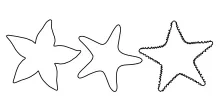 Starfish outline made with one simple continuous line
