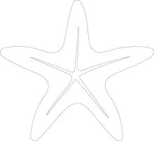 Starfish shape made with single unbroken line drawing