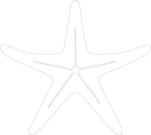 Marine starfish illustrated with one uninterrupted line drawing