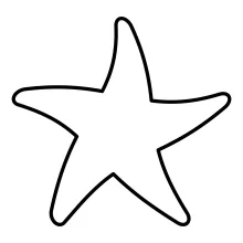 One line starfish illustration for natural form studies
