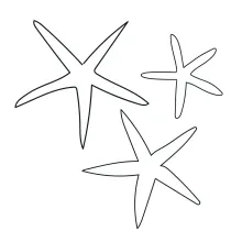 Three sea stars drawn in one continuous line each