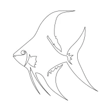 Angelfish One-Line Drawing: Draw Elegant Shapes with a Single Line