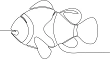 Clown Fish in One Line: Learn Round Ocean Forms with a Familiar and Fun Fish