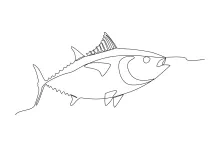 Simple One-Line Fish Drawing: A Quick Exercise in Drawing Marine Animals