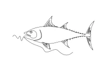 One-Line Drawing of a Fish: Practice Curves and Proportion Easily