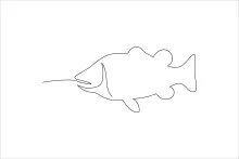 Basic One-Line Fish Drawing: Strengthen Your Planning with Smooth Movement